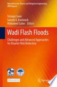 Wadi Flash Floods : Challenges and advanced approaches for disaster risk reduction