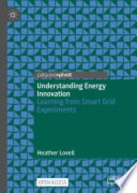 Understanding energy innovation : learning from smart grid experiments