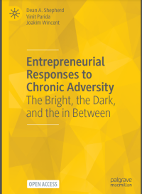 Entrepreneurial responses to chronic adversity : the bright, the dark, and the in between