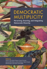 Democratic multiplicity : perceiving, enacting and integrating democratic diversity