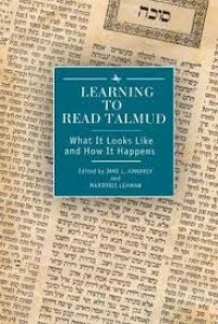 Learning to Read Talmud : what It looks like and How It Happens