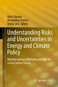 Understanding risks and uncertainties in energy and climate policy : multidisciplinary methods and tools for a low carbon society