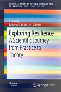 Exploring resilience : a scientific journey from practice to theory