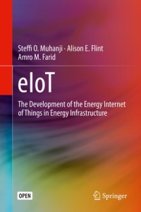 eIoT : the development of the energy internet of things in energy infrastructure