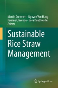 Sustainable rice straw management