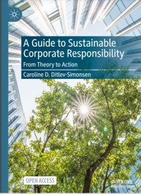 A guide to sustainable corporate responsibility : from theory to action