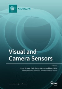 Visual and camera sensors