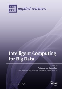 Intelligent computing for big data