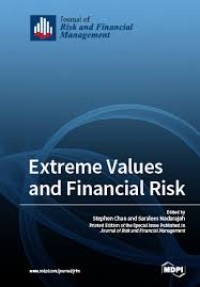 Extreme values and financial risk