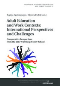 Adult education and work contexts : international perspectives and challenges : comparative perspectives from the 2017 Würzburg Winter School