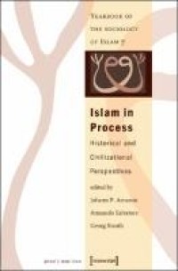 Islam in process historical and civilizational perspectives (yearbook of the sociology of islam 7)