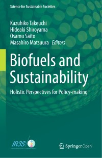 Biofuels and sustainability : holistic perspectives for policy-making