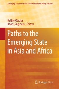 Paths to the emerging state in Asia and Africa