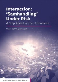 Interaction: 'Samhandling' Under Risk : A Step Ahead of the Unforeseen