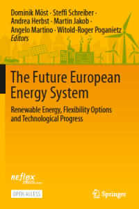 The future European energy system