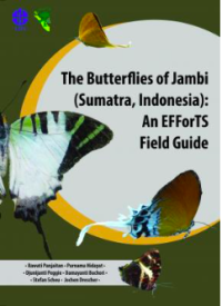 The butterflies of Jambi (Sumatera, Indonesia): an efforts field guide