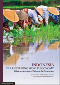 Indonesia in a reforming world economy: effects on agriculture, trade and the environment