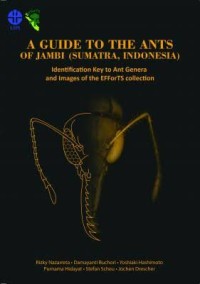 A guide to the ants of Jambi (Sumatra, Indonesia): identification key to ant genera and images of the EFForTS collection