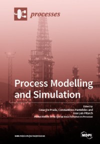 Process modelling and simulation